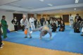 /album/world-international-seminar-sinmoo-hapkido/a270997-474151195952908-899601915-n-jpg/