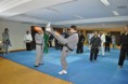 /album/world-international-seminar-sinmoo-hapkido/a284225-474145829286778-1049179715-n-jpg/