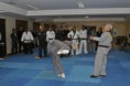 /album/world-international-seminar-sinmoo-hapkido/a406556-447361218648830-2133101095-n-jpg/