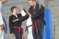 /album/seminario-nacional-de-hapkido/a10274104-654204081315350-4669447762160826793-n-jpg/