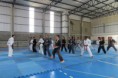 /album/seminario-nacional-de-hapkido/a10294471-654198851315873-2683347097817023398-n-jpg/