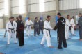 /album/seminario-nacional-de-hapkido/a10341999-654199391315819-8806182116243152997-n-jpg/