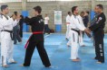 /album/seminario-nacional-de-hapkido/a10344804-654199697982455-7649648070153657800-n-jpg/