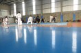 /album/seminario-nacional-de-hapkido/a10358715-654203074648784-3236290463336259293-n-jpg/